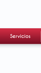 Servicios